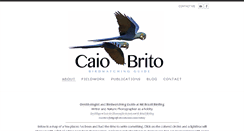 Desktop Screenshot of caiobrito.com