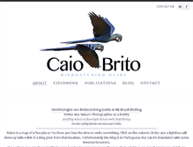Tablet Screenshot of caiobrito.com
